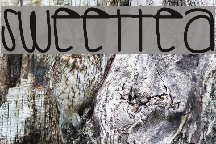SweetTea Font - FFonts.net