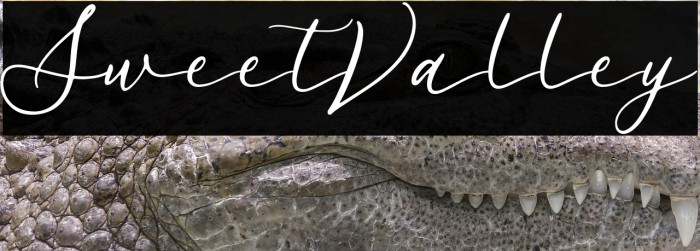 SweetValley Example 2