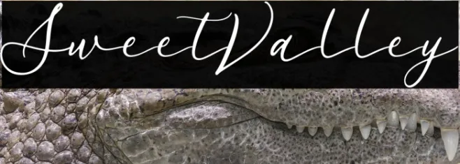 SweetValley Example 2