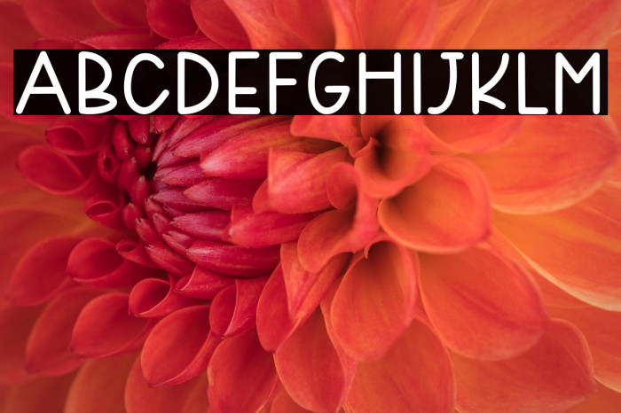 SweetWinter Example 3