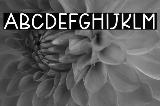 SweetWinter Font examples