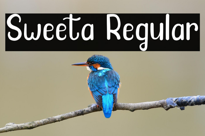 Sweeta Regular Example 2