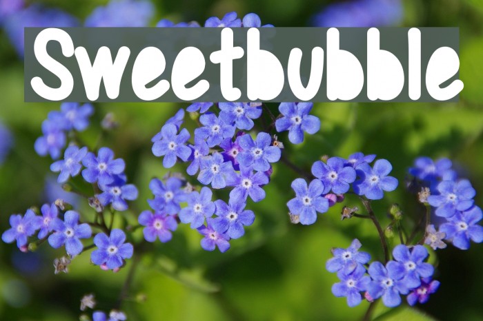 Sweetbubble Font examples