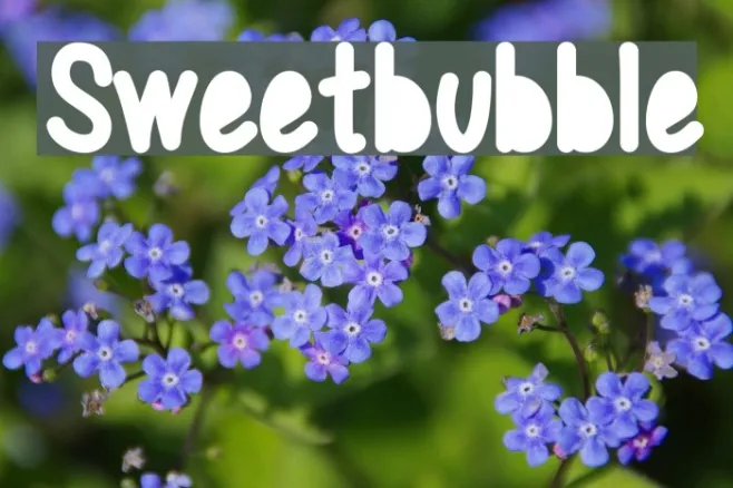 Sweetbubble Example 1