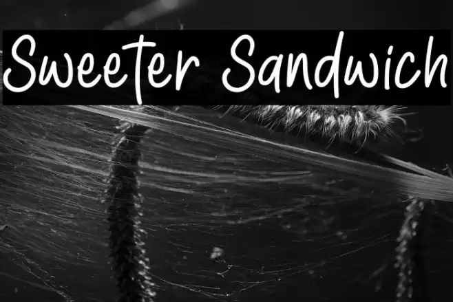 Sweeter Sandwich Font examples