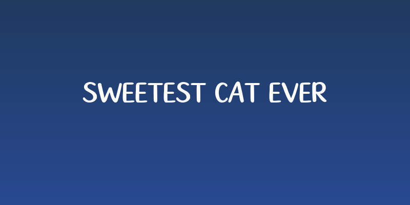 Sweetest Cat Ever Social Header