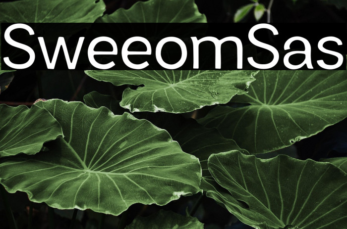Sweetform Sans Example 2