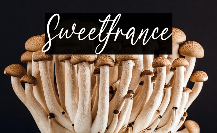 Sweetfrance Example 3