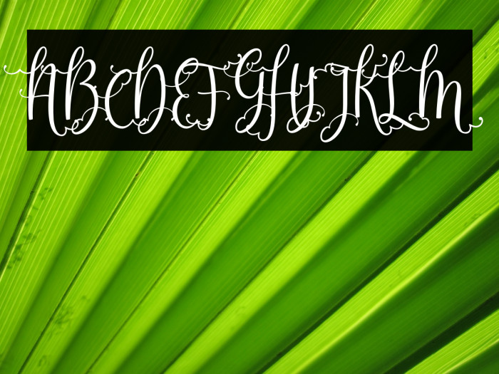 Sweetgentle Font examples