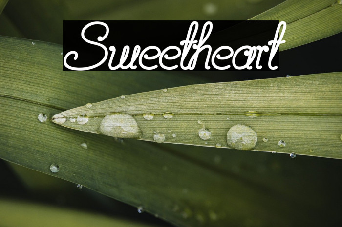 Sweetheart Example 1