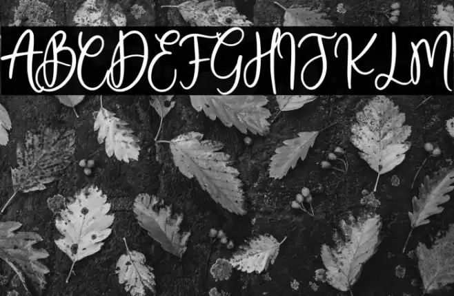 Sweetie Autumn Font examples