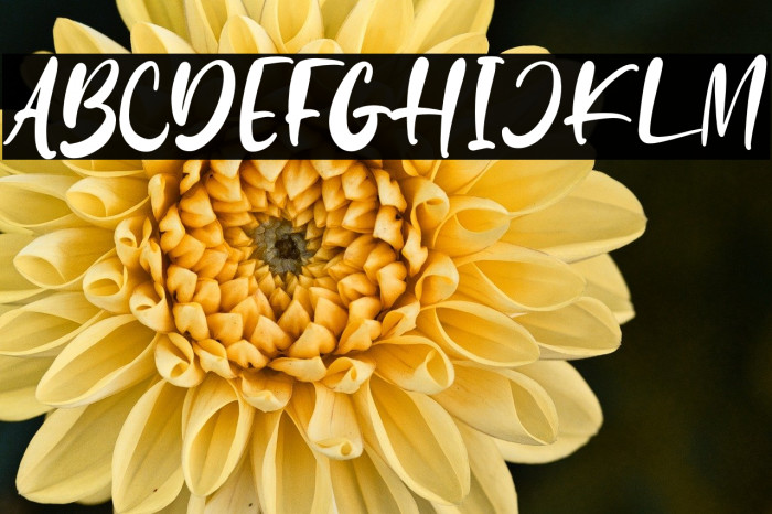 Sweetie Banana Example 2