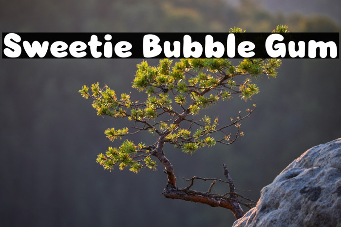 Sweetie Bubble Gum Example 1