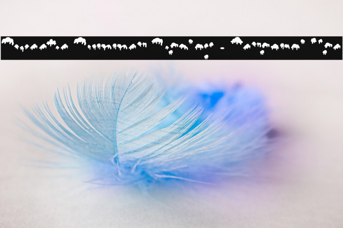 Sweetie Summer Display - Personal Use Example 1