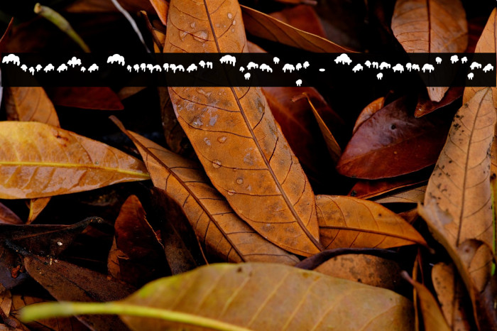 Sweetie Summer Display - Personal Use Example 3