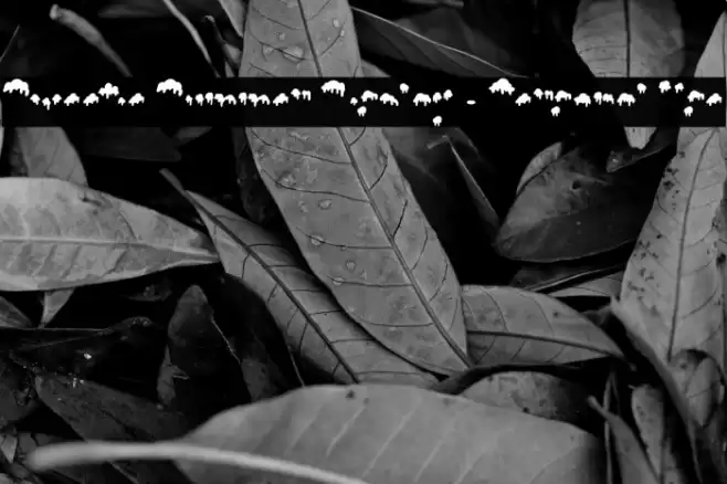 Sweetie Summer Display - Personal Use Font examples