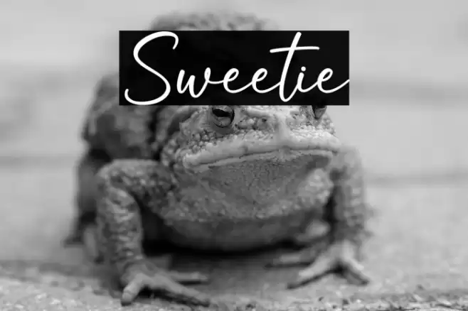 Sweetie Font examples