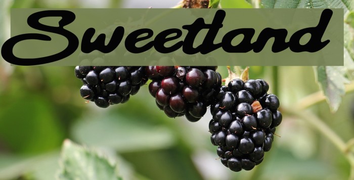 Sweetland Font examples