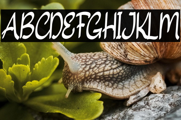 SweetlillyFREE Example 2