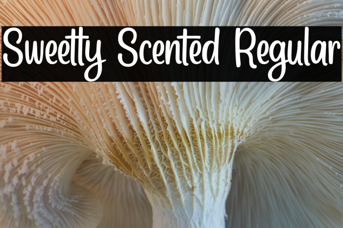 Sweetly Scented Regular Example 3