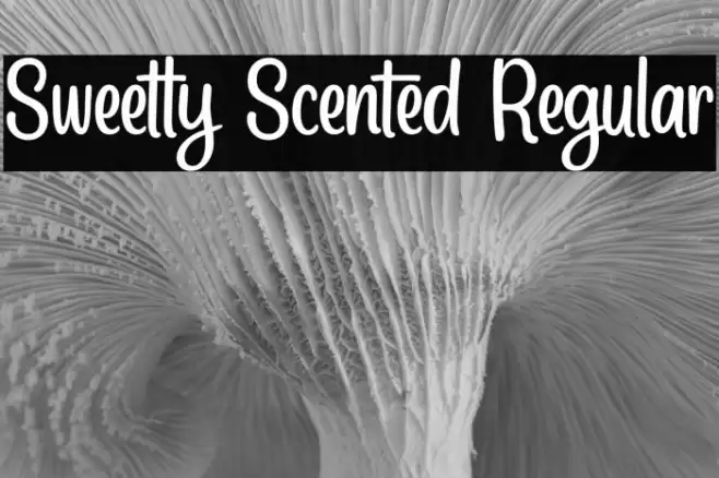 Sweetly Scented Regular Font examples