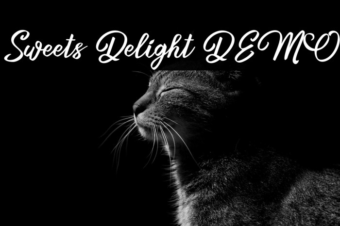 Sweets Delight DEMO Example 2