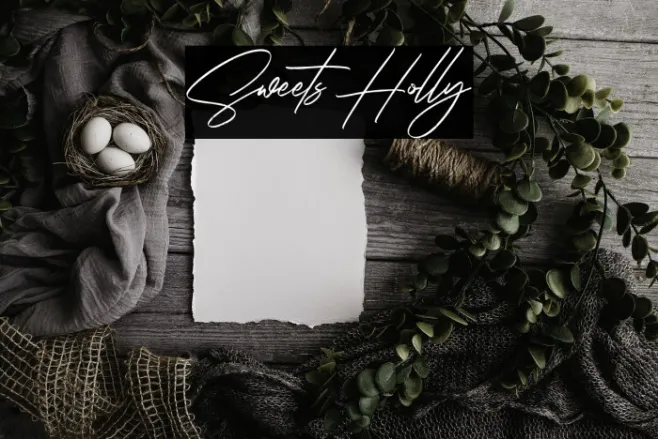 Sweets Holly Example 3