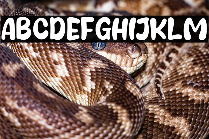 Sweets Smile Example 2