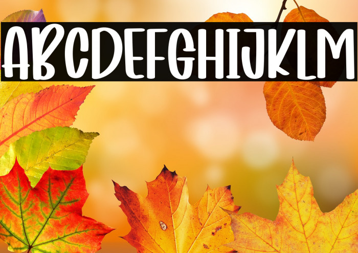 Sweett And Cheerful Example 2