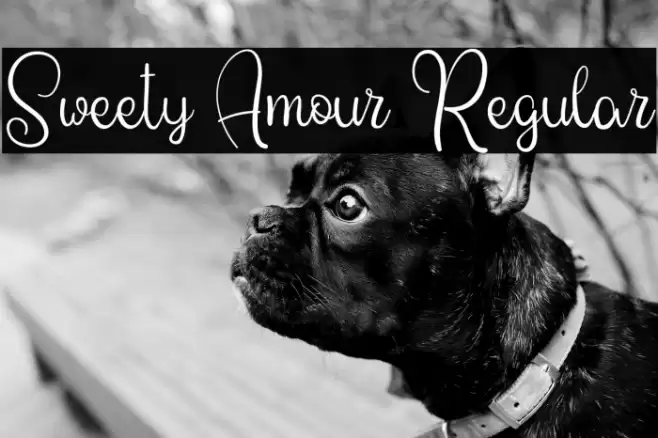 Sweety Amour Regular Font examples