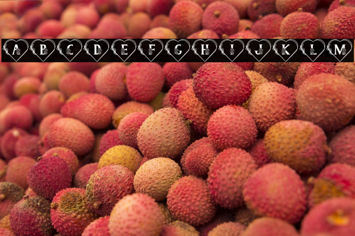 Sweety Camellia Monogram Example 1