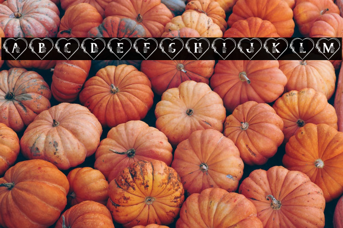 Sweety Camellia Monogram Example 2