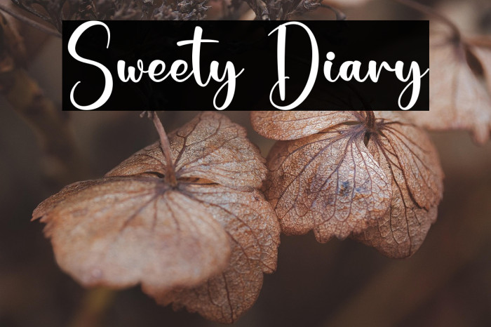 Sweety Diary Example 1