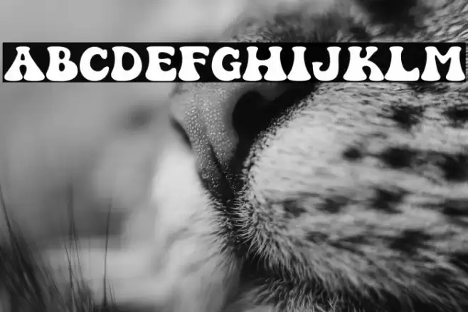 Sweety Groovy 1 Font examples