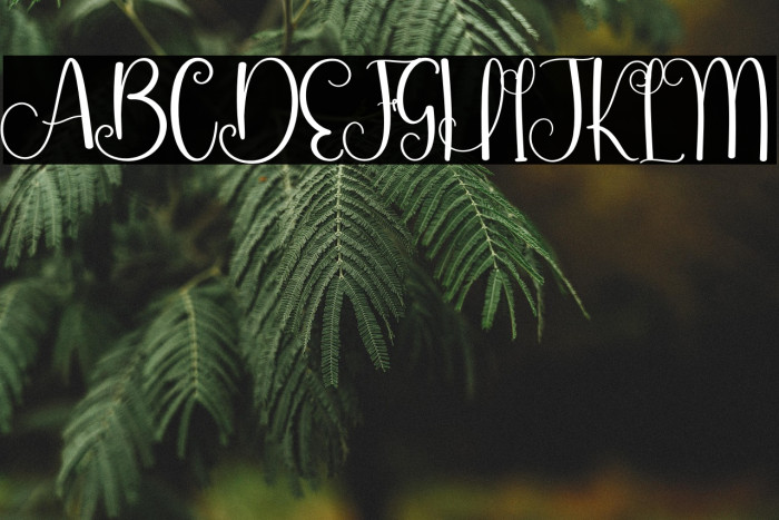 Sweety Love Example 2