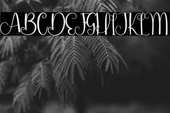 Sweety Love Caratteri examples