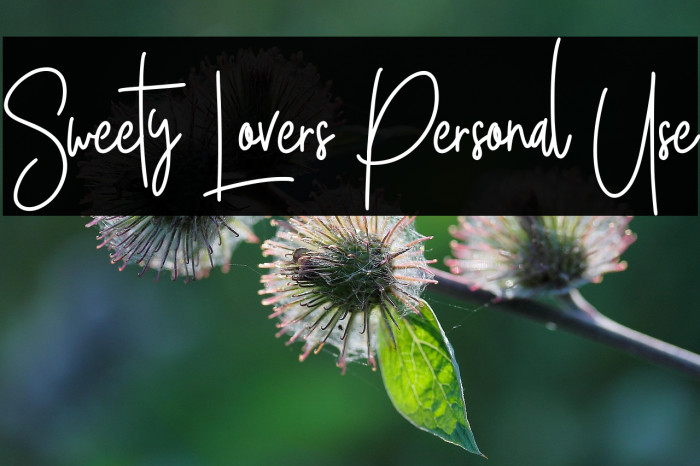 Sweety Lovers Personal Use Example 2
