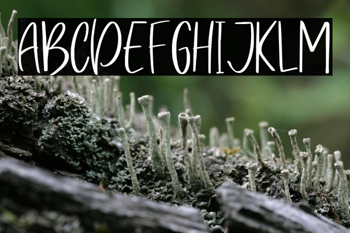 Sweety Petty Example 1