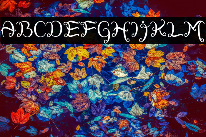 Sweety Rabbit Example 1