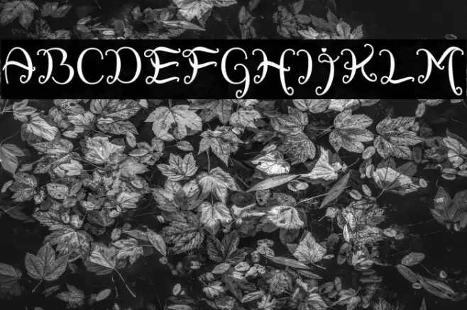 Sweety Rabbit Caratteri examples