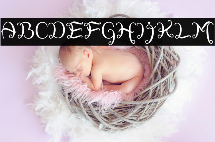 Sweety Rabbit Example 3