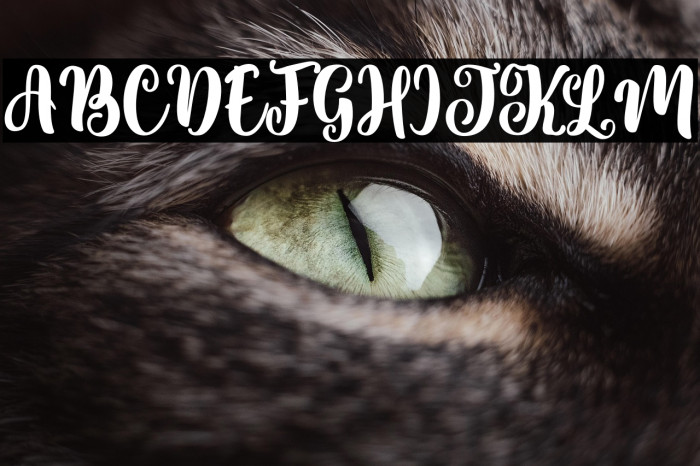 Sweety Renna Example 2