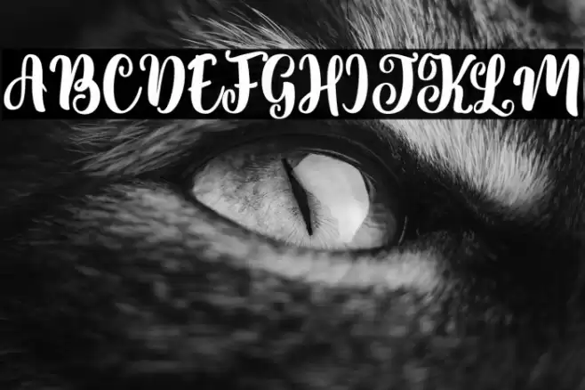 Sweety Renna Font examples