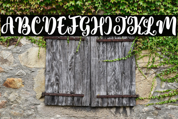 Sweety Renna Example 3