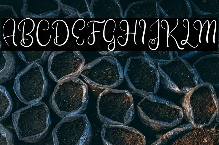 SweetyAmour-Regular Example 3