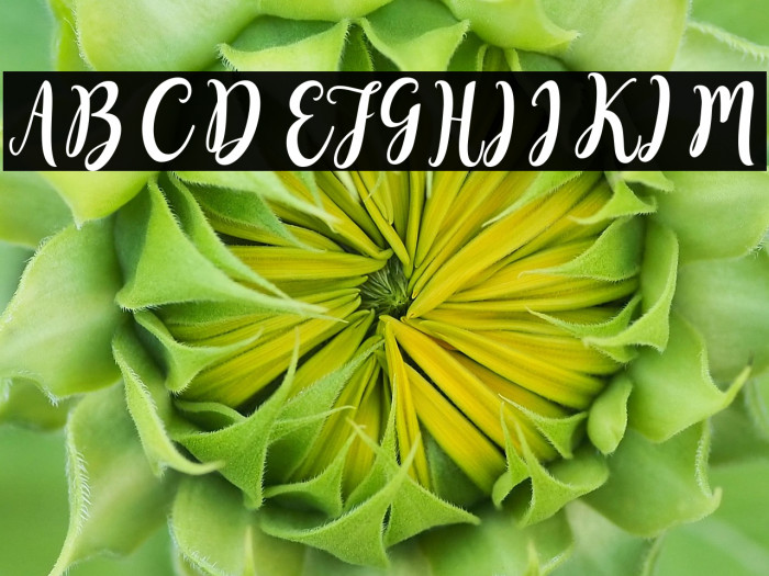 SweetyScript Example 1