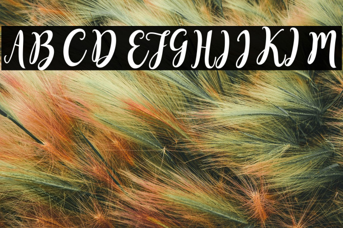 SweetyScript Example 3