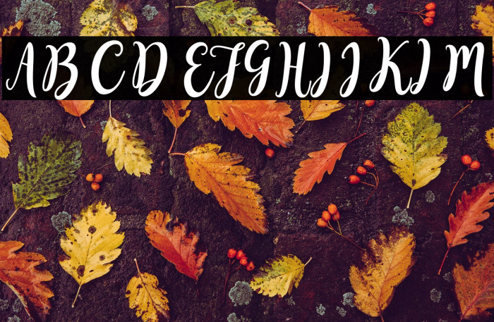 SweetyScript Example 2