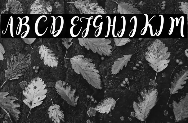 SweetyScript Font examples