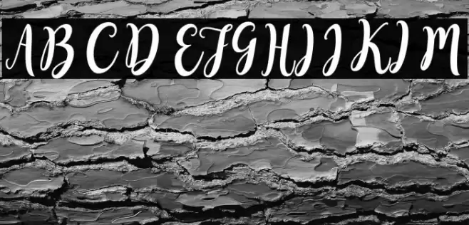 SweetyScript Font examples